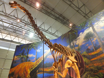 トゥリアサウルス化石.jpg